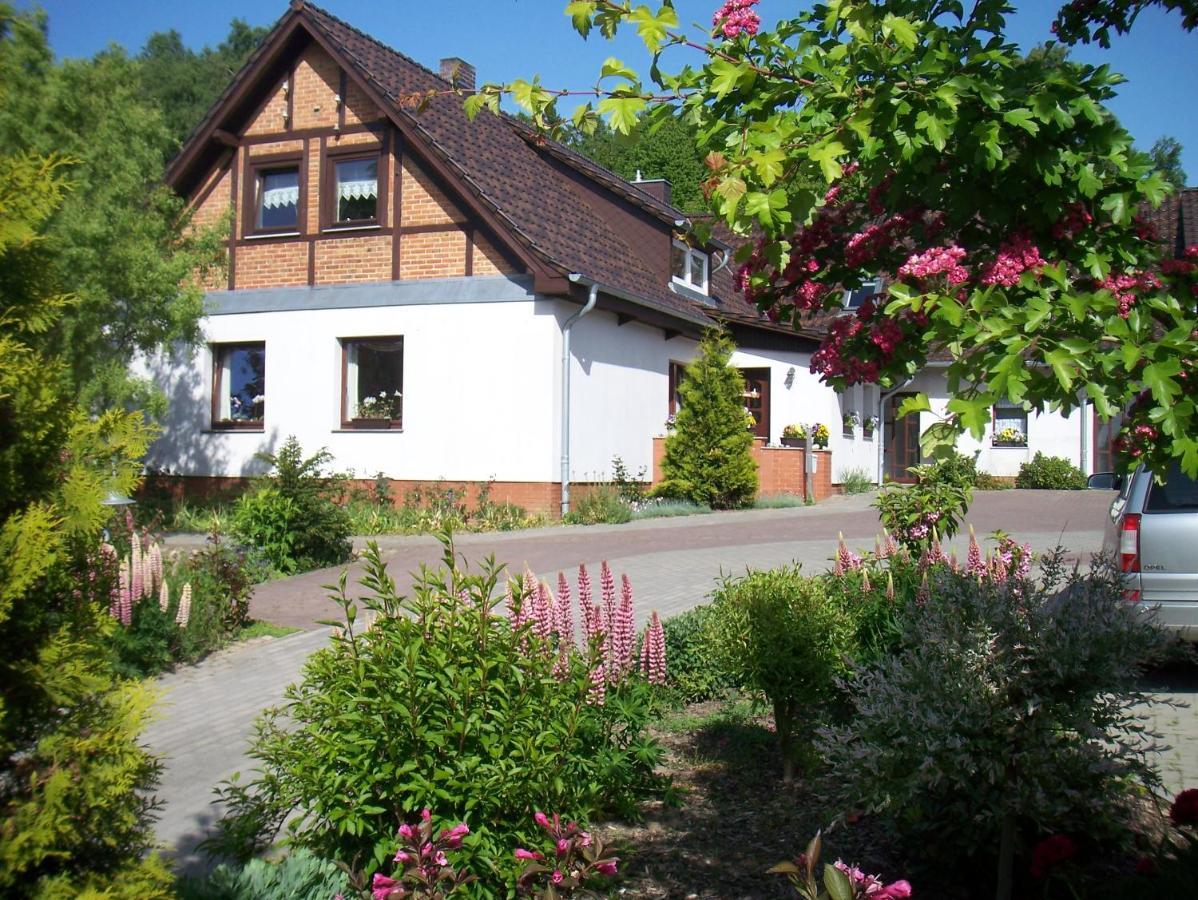 Ferienwohnung 3 Ada Bergen Auf Rugen Exterior photo